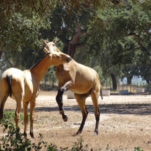 1B0924A8 3469 4D33 8350 7CB37559783A