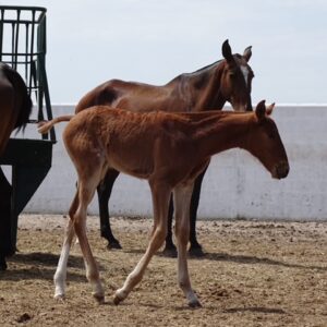 3487B469 A0A4 40A1 BA04 B7A30F7F399C