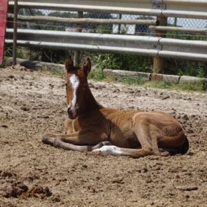 491D805F 7906 4CC6 8EE6 5F57D36CAD2D