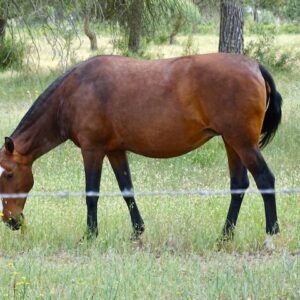 53300468 B0F2 4C2F AE04 2C042510921C