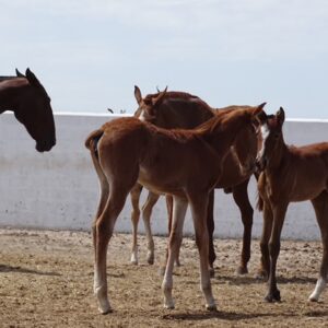 942CE7C0 9287 42A1 95A7 34750CF0F156