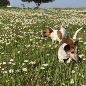 C7C260AC F416 4C83 9AFD 5B2348B4EB19